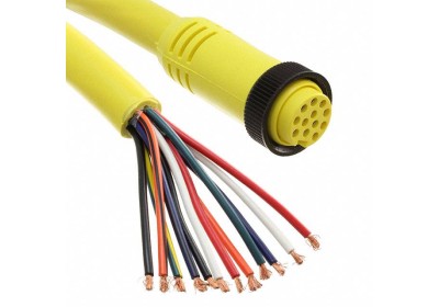 CBL 12POS Datasheet Guide: FMALE to Wire 20' Pinout & Specs