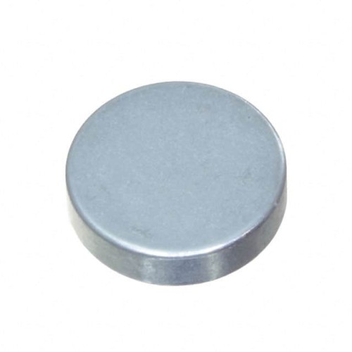 RARE EARTH MAGNET