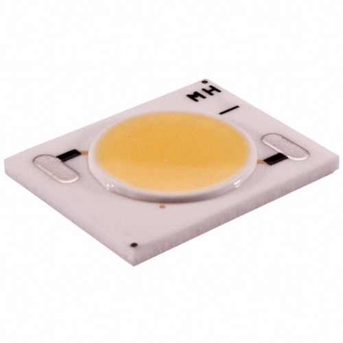 LED COB MINI ZENIGATA COOL WHT