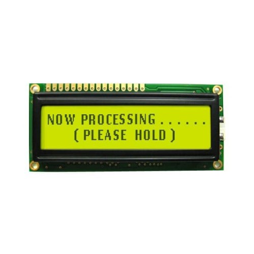 LCD MOD 40DIG 20X2 TRANS YLW/GRN