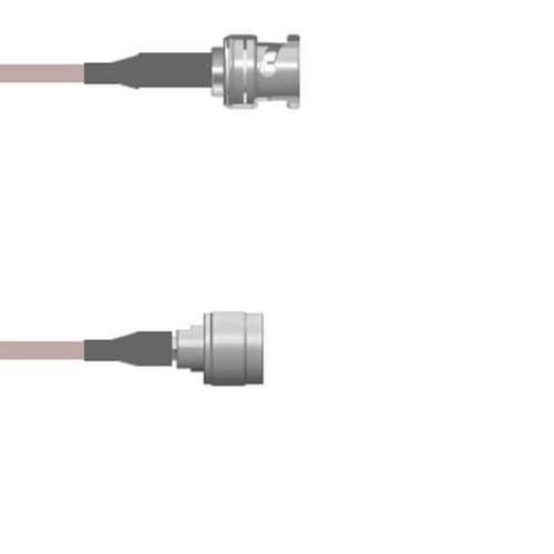 CBL ASY BNC-N-TYP PL RG316 DB 6'