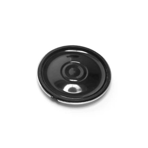 DYNAMIC SPEAKER