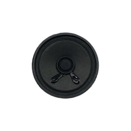 DYNAMIC SPEAKER