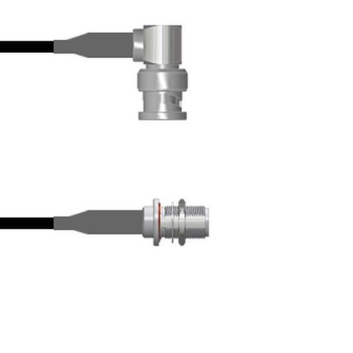 CBL ASSY BNC-N-TYPE P-J RG58 24"