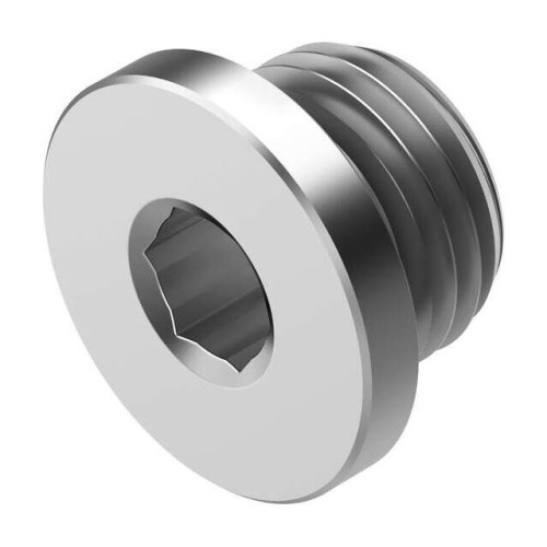 PLUG SCREW