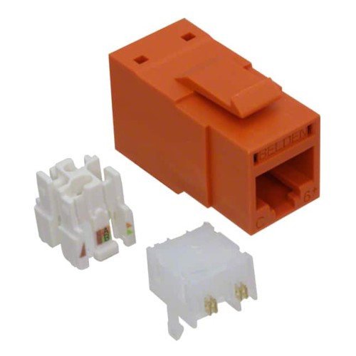 JACK CAT 6 UTP RJ45 ORG 1=24