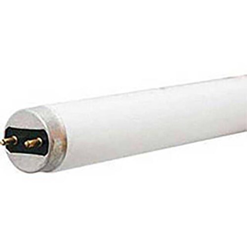 FLUORESCENT BULB T-8 MEDIUM BI-P
