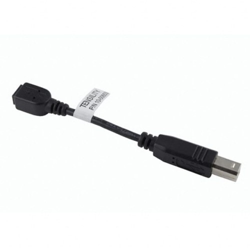 CBL USB2.0 MIN A RCP-B PLG 0.33'