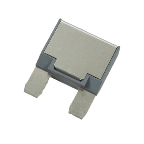 MAXI FUSE FOOTPRINT-TYPE II, 10A