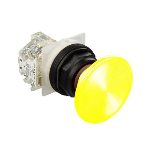 PUSHBUTTON 600VAC 10AMP 30MM SK
