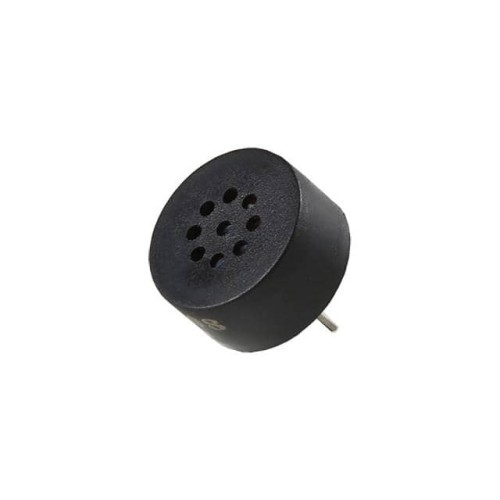 THROUGH-HOLE SPEAKER