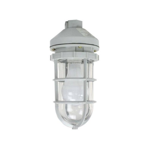100 WATT INCANDESCENT PENDANT MO