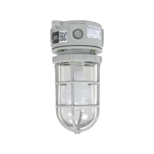 100 WATT INCANDESCENT CEILING MO