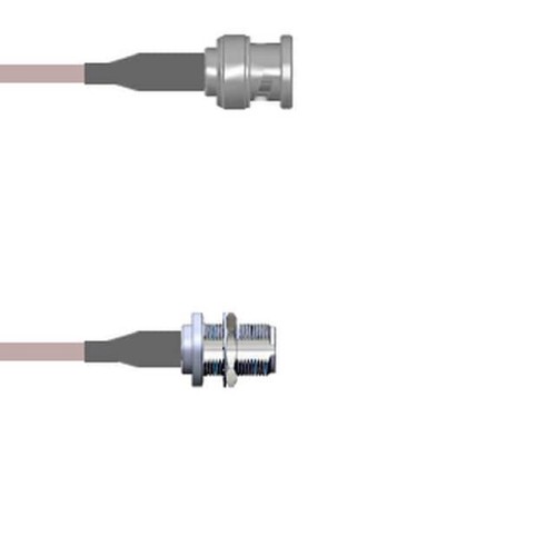 CBL ASSY BNC-N-TYPE P-J RG142 4'