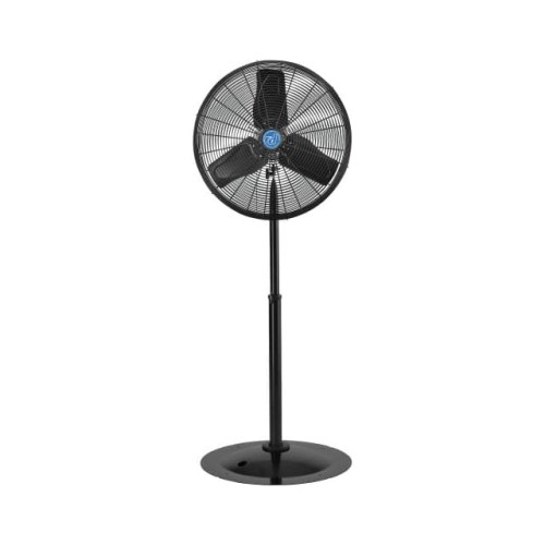 CD PREMIUM 24" NON OSCILLATING P