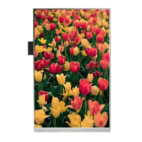 8'' MIPI IPS TFT, 800x1280