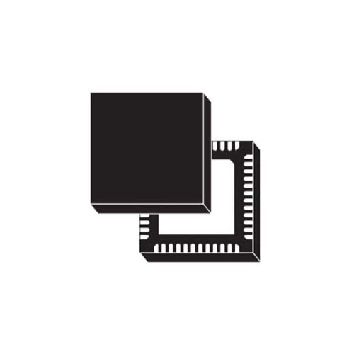1 CHANNEL CLASS D DIGITAL INPUT