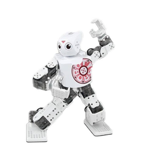 ROBOTIS MINI INTL