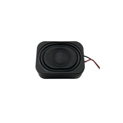 DYNAMIC SPEAKER