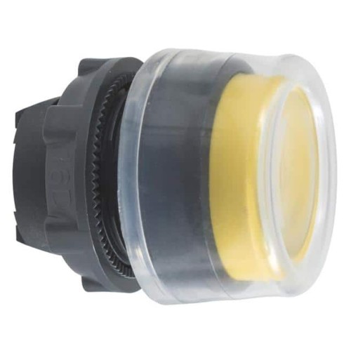 HARMONY XB5, PUSH BUTTON HEAD, P
