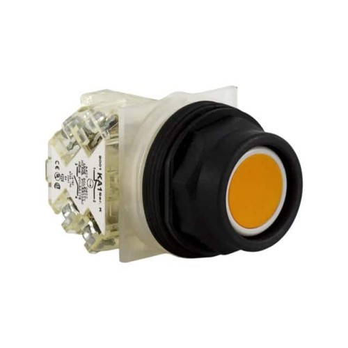 PUSHBUTTON 600VAC 10AMP 30MM SK