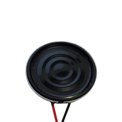 DYNAMIC SPEAKER