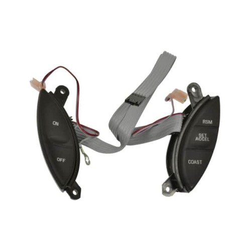 CRUISE CONTROL SWITCH