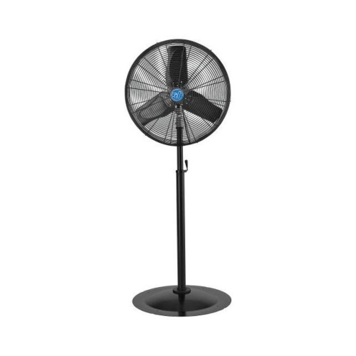 CD PREMIUM 24" OSCILLATING PEDES