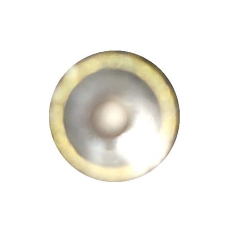 DYNAMIC IN-EAR RECEIVER - 5.8MM